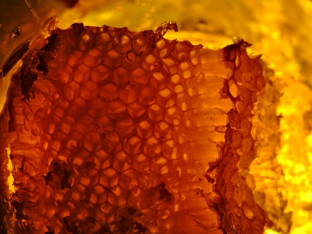 a close up of a piece of food